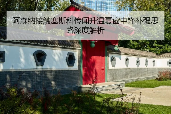 阿森纳接触塞斯科传闻升温夏窗中锋补强思路深度解析